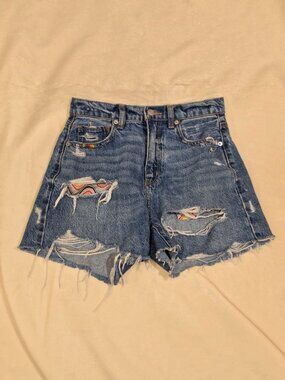 American Eagle Denim Distressed Embroidered Shorts